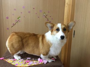 IMG_0759